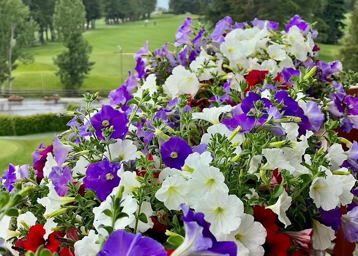 Exclusive Comfy In Crans-montana Апартаменты Ланс