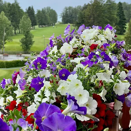 Exclusive Comfy In Crans-montana דירה Lens